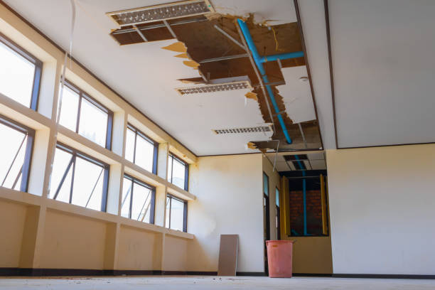  Orion, IL Water damage restoration Pros