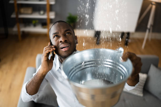 Best Water damage restoration near me  in Orion, IL