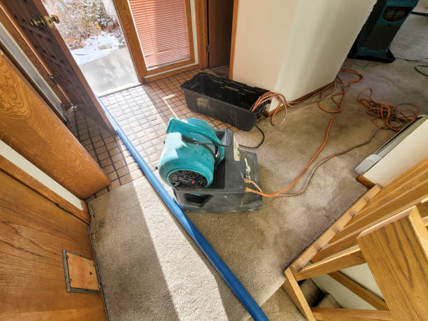Best Water damage restoration near me  in Orion, IL