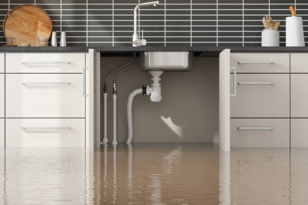 Best Water damage contractors near me  in Orion, IL