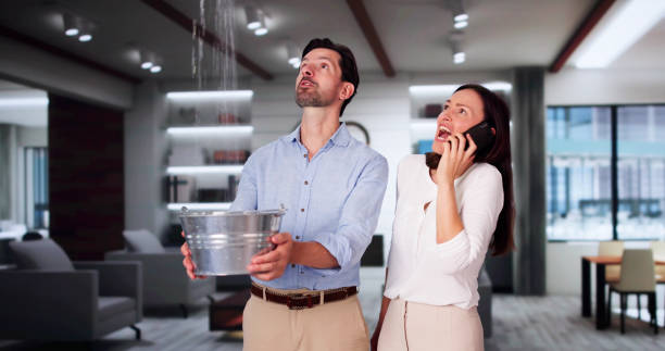 Best Flooded house restoration  in Orion, IL